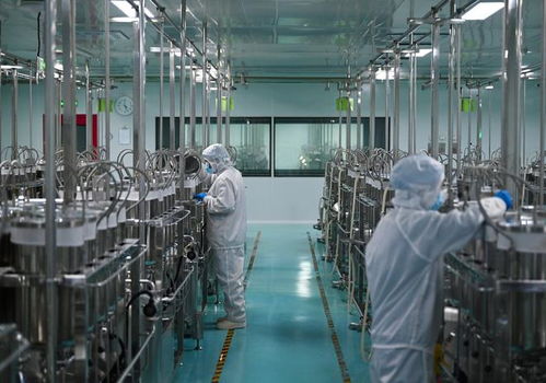 非洲咖啡香飘中原古城——从一座咖啡厂看中非经贸合作的积极探索与未来前景